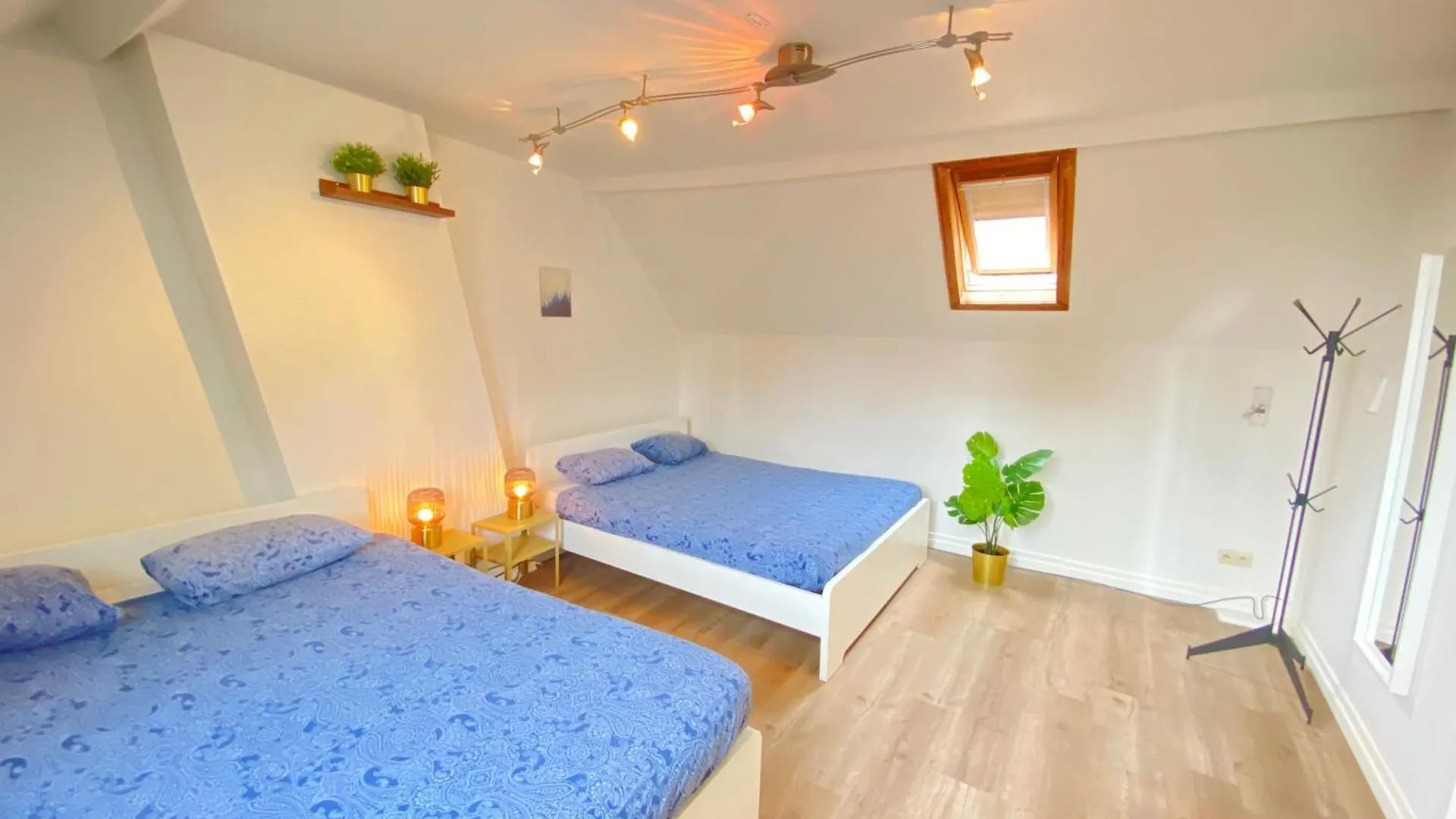 Large Authentic Antwerp Apartments