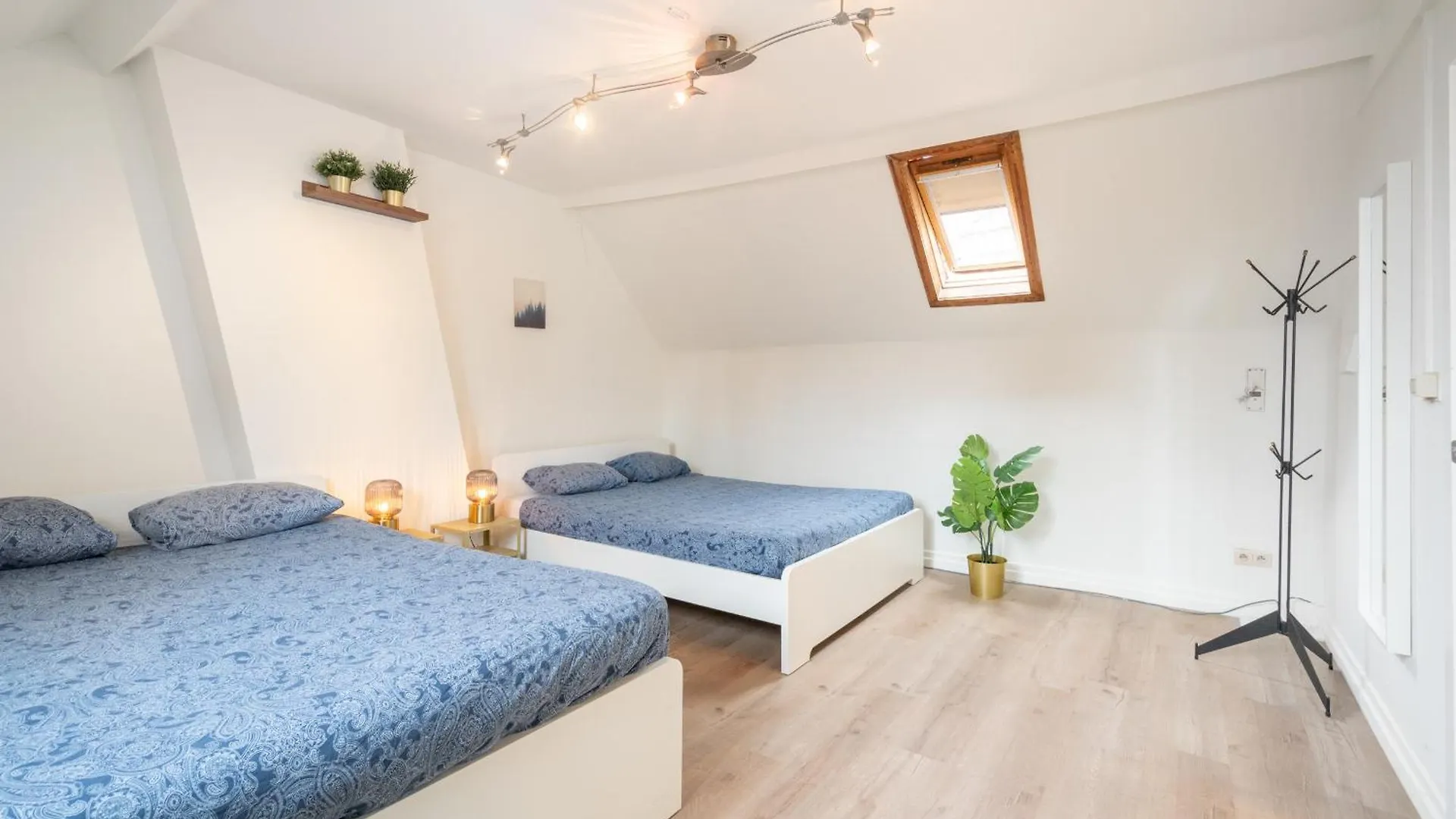 Large Authentic Antwerp Apartments 0*,  Belgium