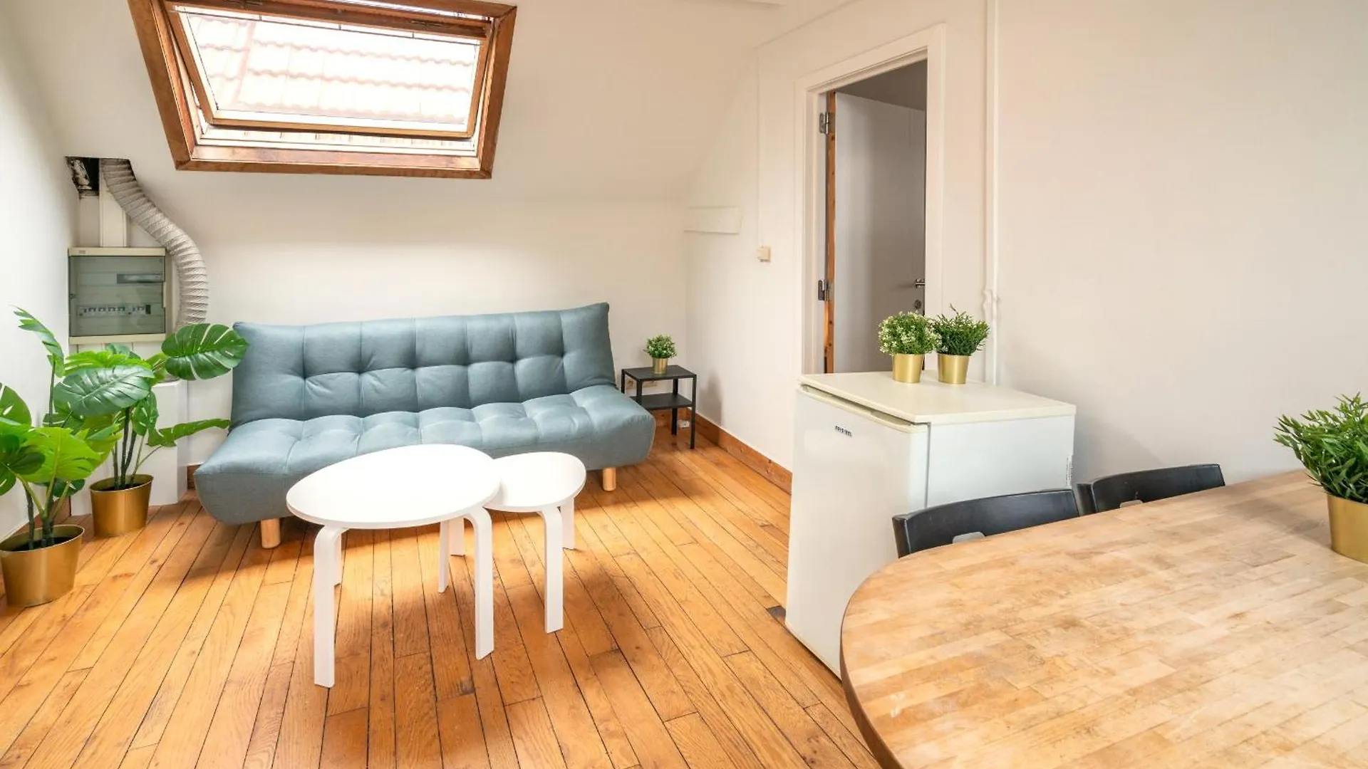 Large Authentic Antwerp Apartments Belgium