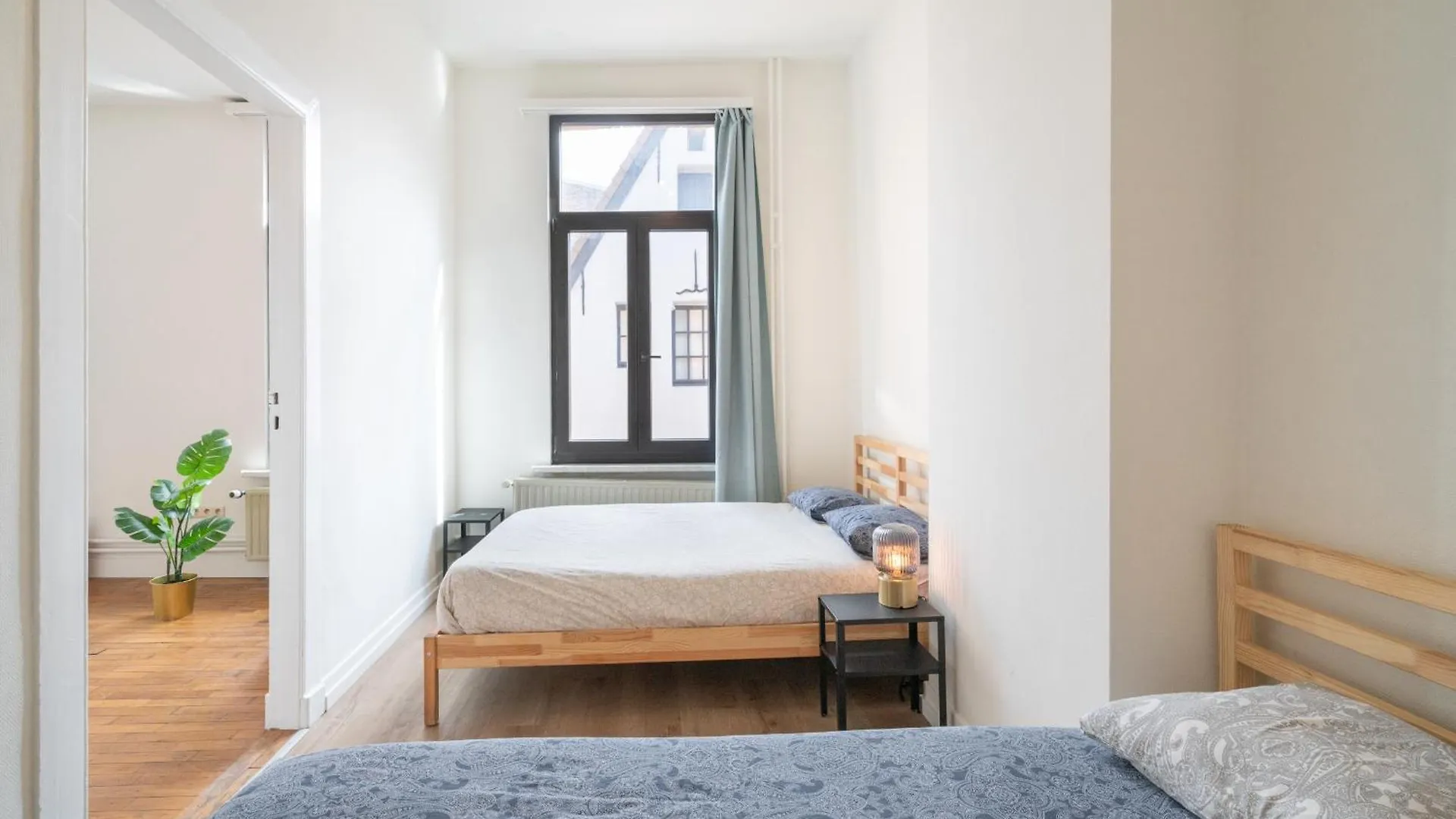 Large Authentic Antwerp Apartments Belgium