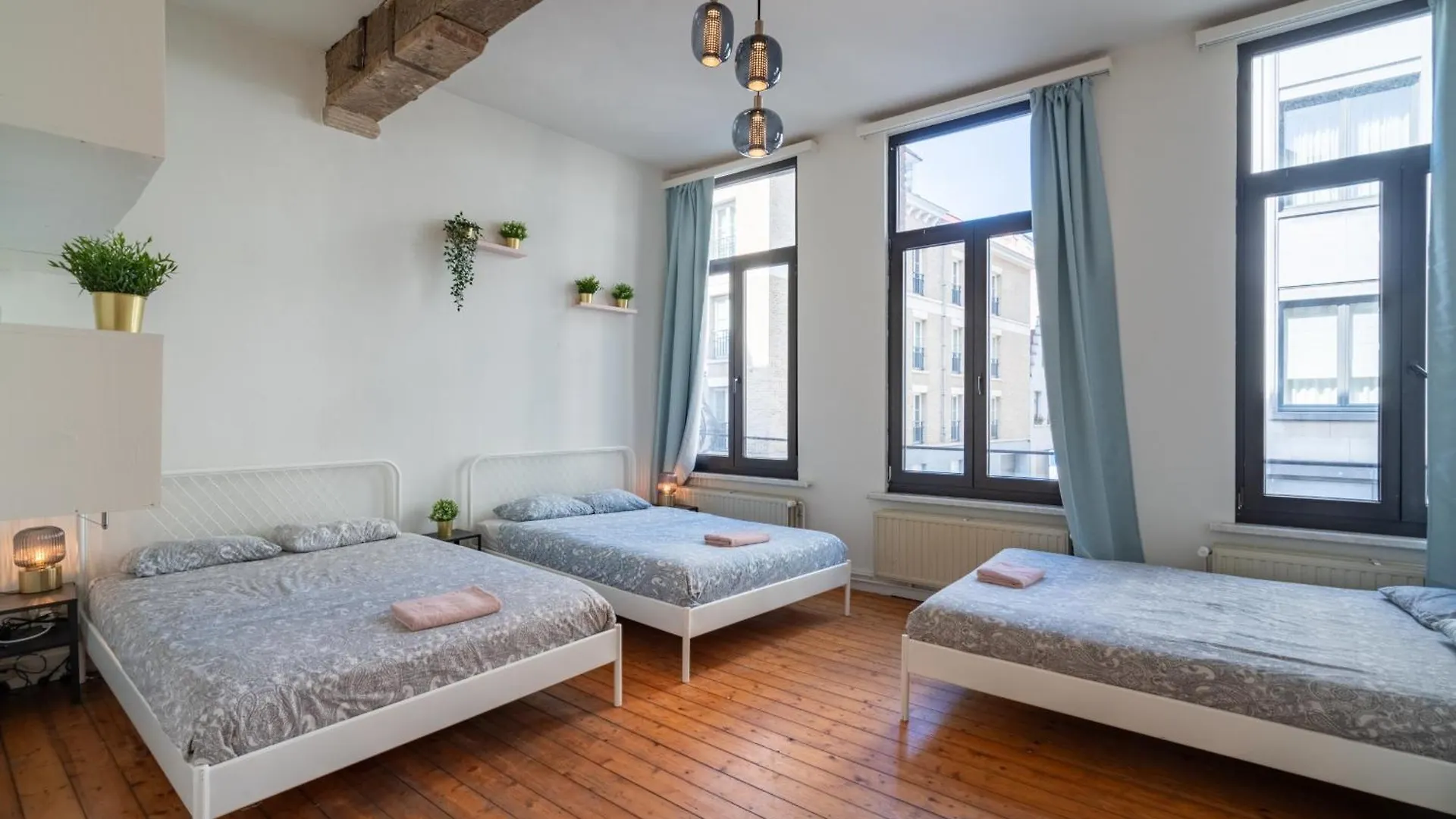 Large Authentic Antwerp Apartments