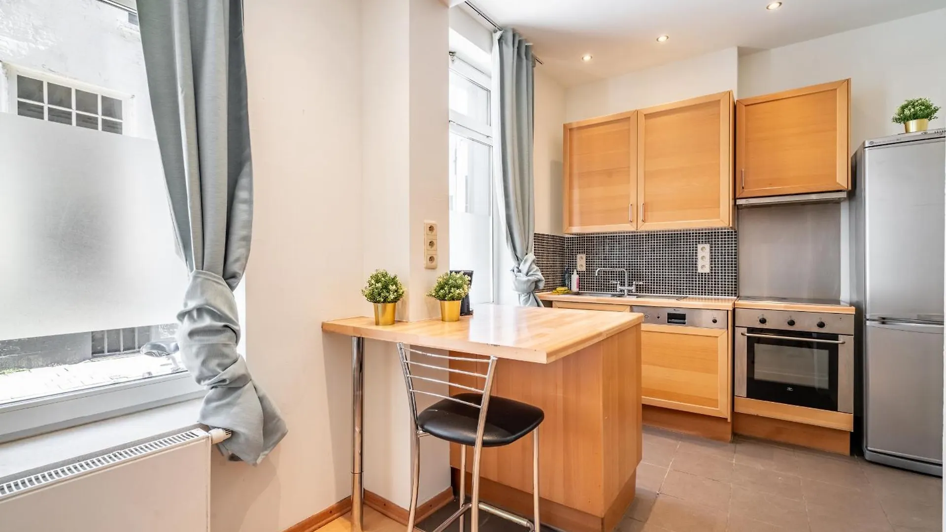Large Authentic Antwerp Apartments